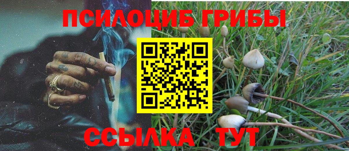 Галлюциногенные грибы мицелий  Вход с VPN  Псилоцибиновые грибы MAGIC MUSHROOMS  Наро-Фоминск 